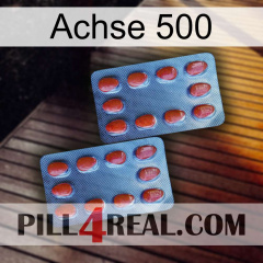 Axcil 500 05